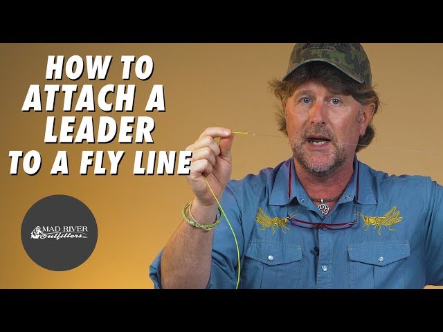 How To Attach A Leader To A Fly Line 