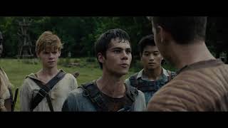 Things Get Heated Between Thomas And Gally [The Maze Runner]