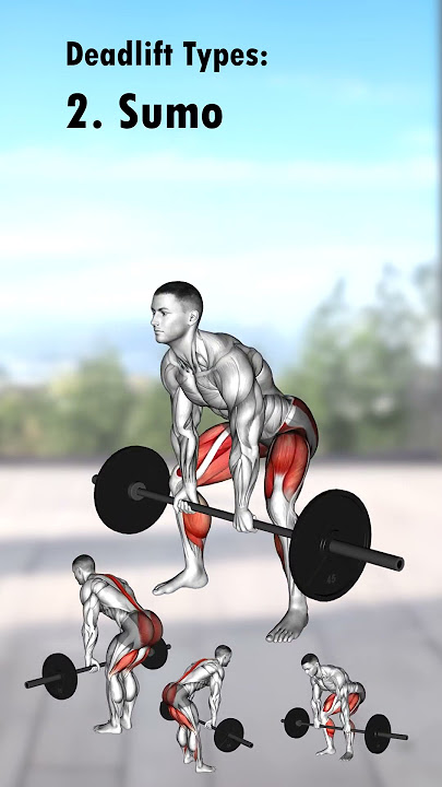 Deadlift Types, Which Is Your Favourite?