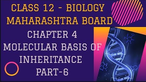 Molecular basis of inheritance |   12th Biology| Maharashtra Board| Chapter 4| part 6|