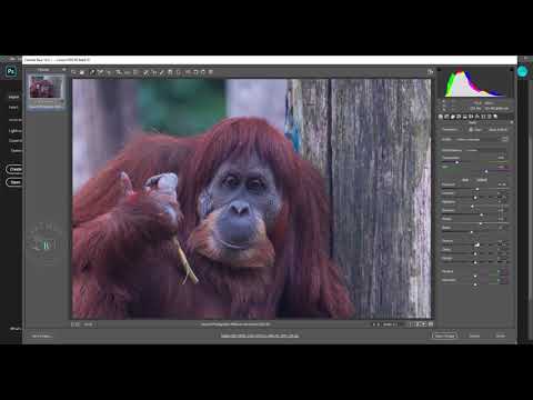 Comparing Lightroom to Camera Raw by Jacqui B Photography