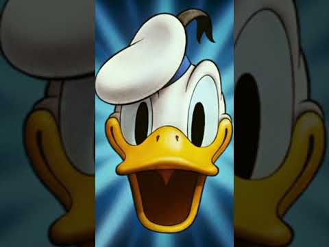 5 Donald Duck Facts You Didnt Know Shorts