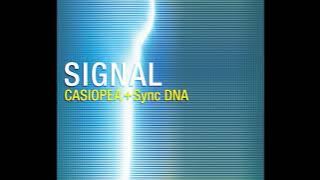 [2022] Casiopea - Signal (2005)