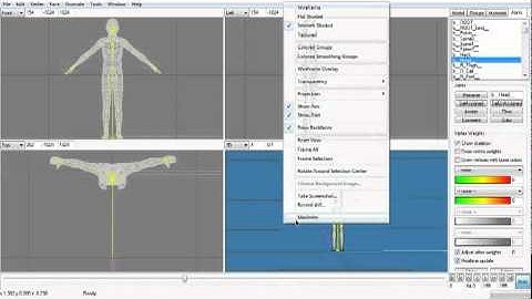 TwinLifeVN.com - How to make custom animation Sims 3 - by SSMusicProductions