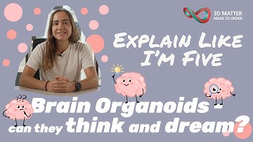 Brain Organoids – Could They Cure Diseases? Explain Like I’m Five | Science in a nutshell