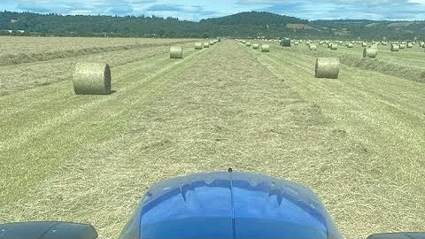 Richard fairley at the hay