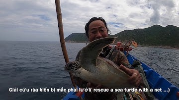 Giải cứu rùa biển bị mắc lưới ( video được quay bởi nhóm spearfishingvn ) Rescue the turtle
