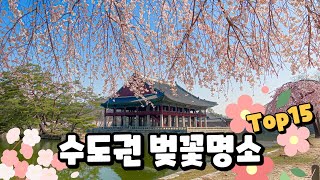 나만 알고 싶은 수도권 벚꽃 명소 15곳 싹 모아서 소개해 드릴게요. 더 알려지기 전에 올해는 여기서 예쁜 벚꽃 구경하세요!