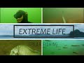 Extreme Life - pesca sub 2022