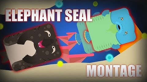 ELEPHANT SEAL IS GOOD?!? - DEEEEP.IO