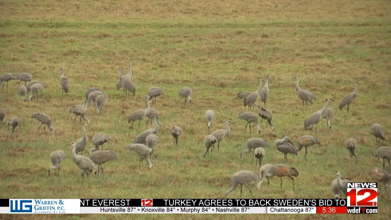 Meigs County Partners with Tennessee Tech on Tourism Marketing