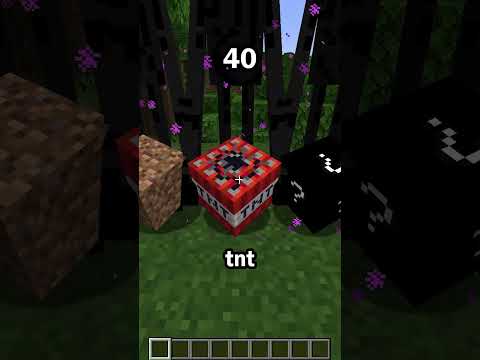 Guess the Minecraft