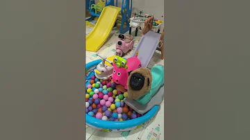 Bubble Camera 