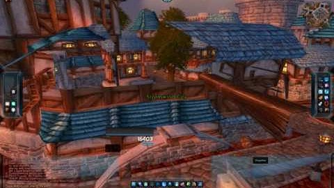 Basic SW bugs Patch 3.3.5