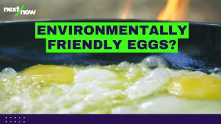 Cracking the Code on Climate | The EVERY Company