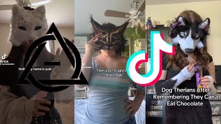 Therian Compilation (No Quads!) || Credits To All Video Owners!! 💗