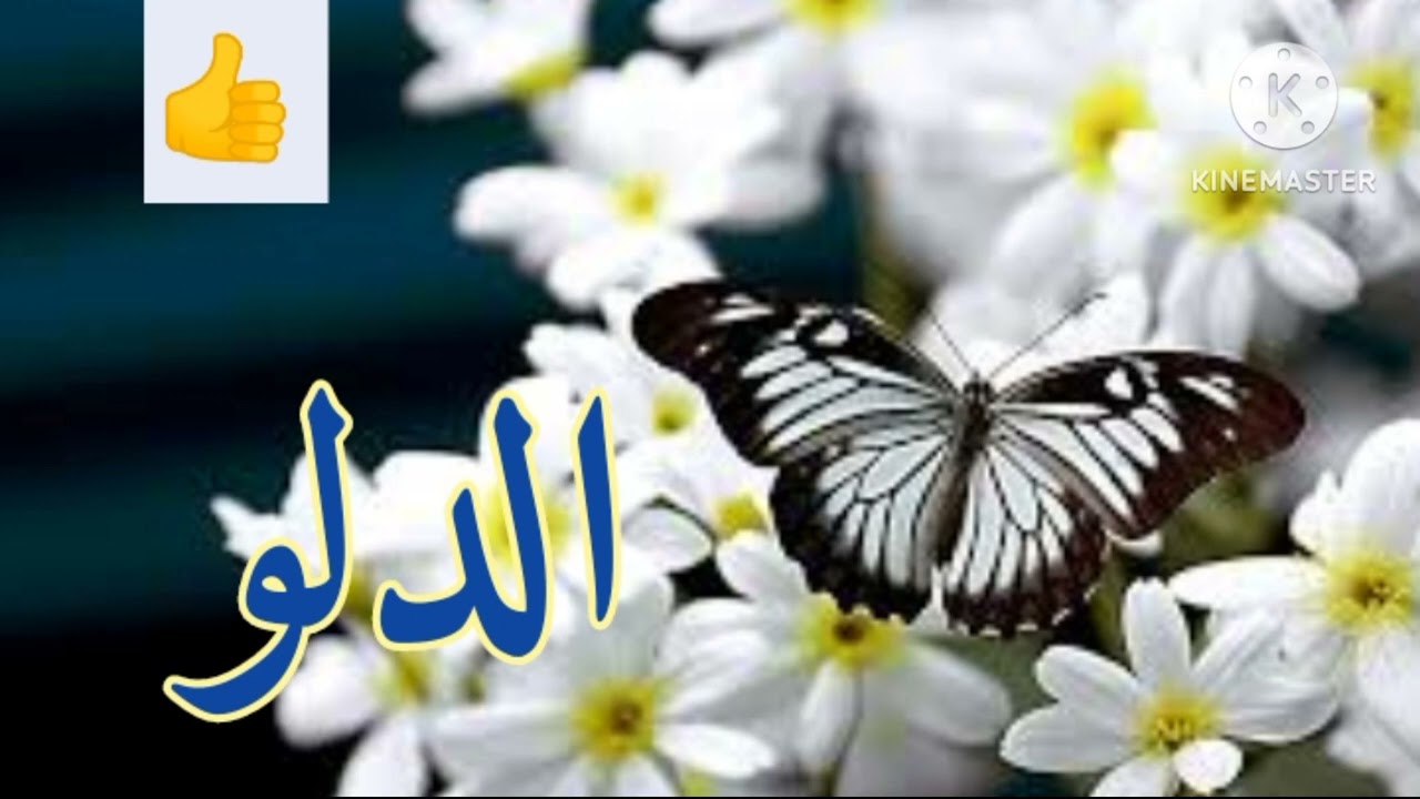 برج الدلو.. ‼️ حسس انه خسرك وخسر الدنيا كلها.. العوض عوضين ليك.. ‼️