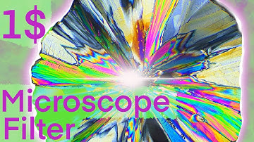 Cheap DIY Polarising Filter for Microscopy (SW380T polarizing filter?)