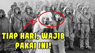 7 Fakta Miyakejima, Pulau Paling Berbahaya Dan Terseram Di Dunia