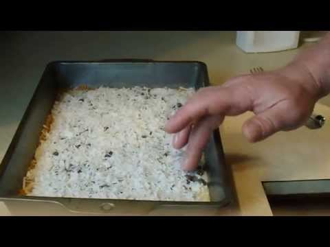 Coconut Chocolate Squares