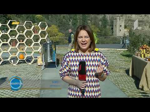 თაფლის ფესტივალი ბოტანიკურ ბაღში