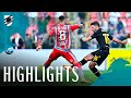 Cremonese Sampdoria goals and highlights