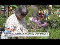 Garden Fair returns to Klehm Arboretum