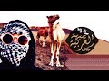 El M3allem Moseqah JA TRAP El M3allem Moseqah JA TRAP
