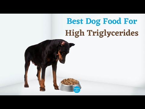 Best Dog Food For High Triglycerides - Top 5 Dog Food of 2021