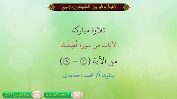 تلاوة لسورة فصلت من الآية 1 إلى الآية 20