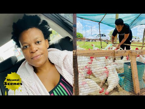 Zodwa Wabantu Is Now Selling Eggs And Chickens Youtube