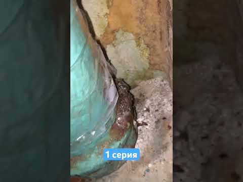 Замена чугунной канализации