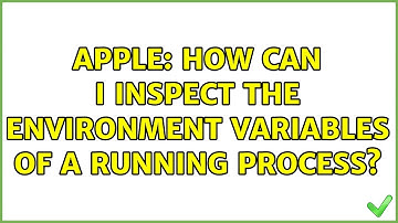 Apple: How can I inspect the environment variables of a running process? (3 Solutions!!)