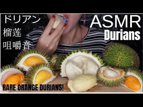 ASMR 咀嚼音 RARE ORANGE WILD DURIANS! 榴莲 ドリアン | SOFT STICKY EATING SOUNDS (No Talking)