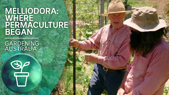 Melliodora – The birthplace of permaculture | Urban Farming | Gardening Australia - DayDayNews