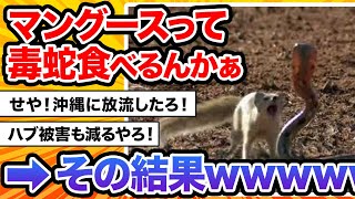 【2ch動物スレ】はえーこの動物は毒蛇食べるんか。せや！沖縄に放流したろ！