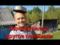 Жизнь на хуторе. На что ещё хватило денег с продажи машины , кроме унитаза ? Режем старые доски