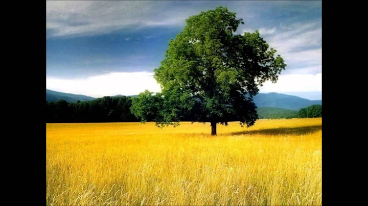 Nolwenn Leroy - fields of gold