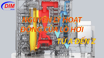 LÒ HƠI TẦNG SÔI TUẦN HOÀN CẤU TẠO VÀ NGUYÊN LÝ LÀM VIỆC - DIM BOILER