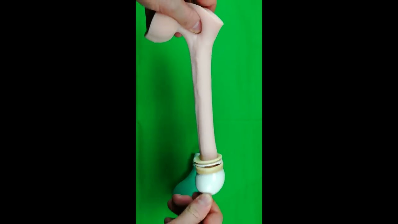 Sie macht sich über deinen Mikroschwanz lustig Sie macht sich über deinen Mikroschwanz lustig