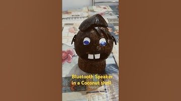 Watch how I turned a coconut shell into a unique Bluetooth speaker!#DIYSpeaker  #coconutshellcrafts