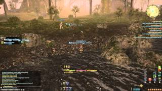 Final Fantasy 14: ARR - 12 Hackers in Black Shroud