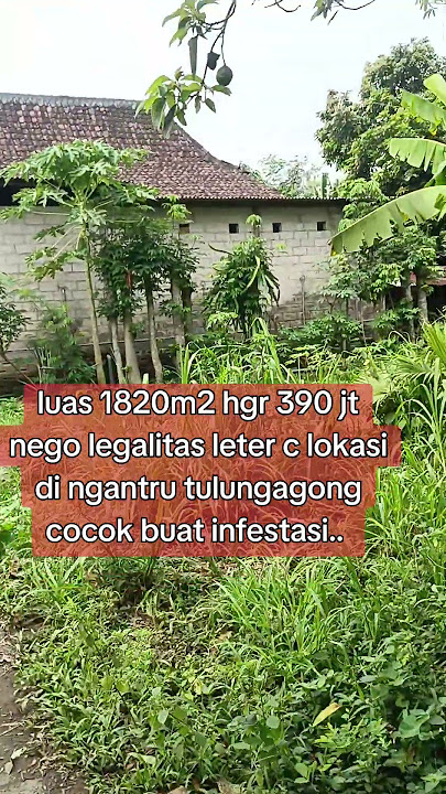 This land is for sale cheaply in Ngantru, Tulungagong #cheaplandinfo #cheapestproperty