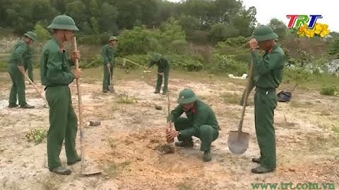 Tết trồng cây đời đời nhớ ơn Bác