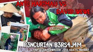 ANTO HARIMAU DI C1DUK DAVID WEWE JADI KUCING..!!P3NCUR1 ALA NINJ4 BERS4J4M KEOK