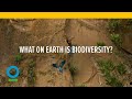 What on Earth is Biodiversity?