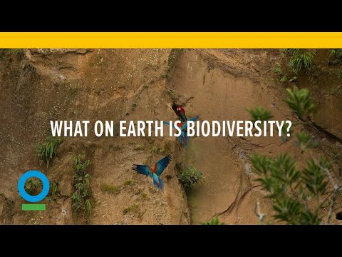 पृथ्वी पर जैव विविधता क्या है?