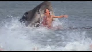 JAWS Alex Kintner Death - updated