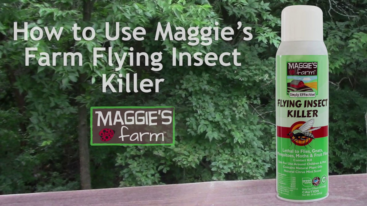 Flying Insect Killers  Kill Gnats, Fruit Flies & Moths