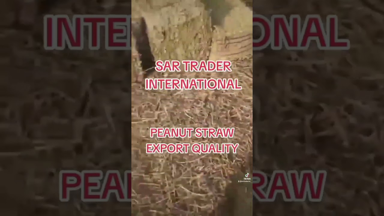 Peanut straw Hay Export Quality Available get the order 